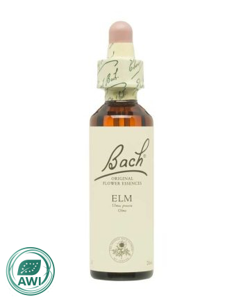 Flor nº 11 Olmo (elm) 20ml Bach