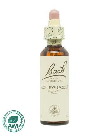 Flor nº 16 Madreselva (honeysuckle) 20ml Bach